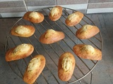Madeleines à la vanille au combi Ninja