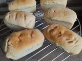 Minis pains au compact cook pro et cake factory