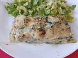 Ravioles au Saint Marcellin et courgettes avec le combi Ninja