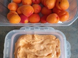 Sorbet abricot au compact cook pro