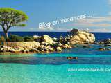 Blog en vacances