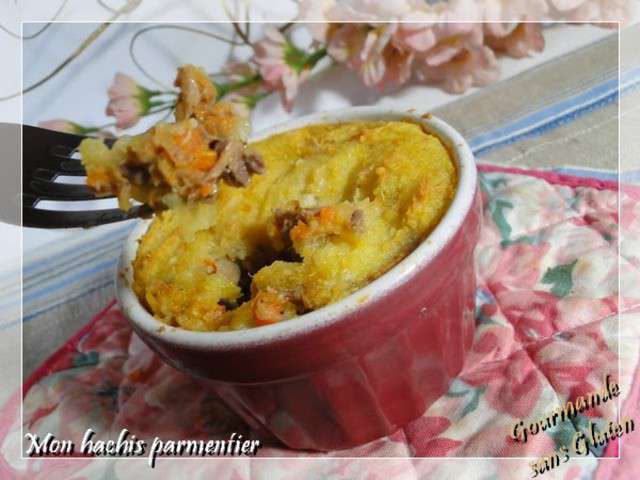 Les Meilleures Recettes de Parmentier et Bœuf