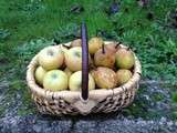 Pommes, des poires et des salsifis. La liste de février