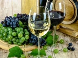 Apprenez à connaître les vins : les différents types et caractéristiques