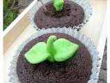 Cupcakes chocolat, comme des plantes vertes