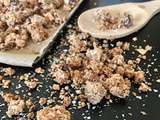 Granola fait maison : chocolat et noix de coco (okara)