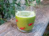 Bon jus vert détox aux agrumes et épinard