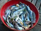 On part en Espagne avec ces anchois à l’aïl et persil