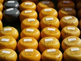 Découvrez des fromages biologiques artisanaux uniques en France