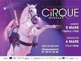 2 places pour le 15 ème festival international du Cirque des Mureaux