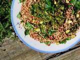 Salade de quinoa rouge céleri - pistache et gremolata