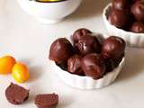 Truffes haricot-chocolat