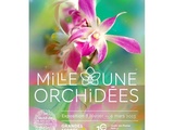 1001 Orchidées : une exposition splendide pour le 10ème Anniversaire aux Grandes Serres du Jardin des Plantes, avec Stéphane Marie