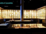 1626 - 2026 : Le Museum National d'Histoire Naturelle fête ses 400 ans. Artistes au Museum, Suite