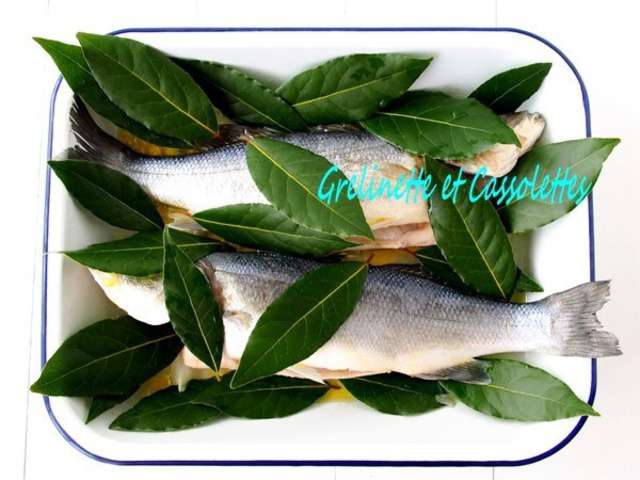 Recettes de Laurier et Cuisine au Four