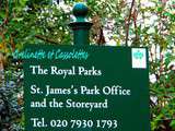 Ecureuils de Saint James Park, Londres