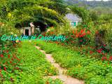 Eté Indien à Giverny, dans les Jardins de Claude Monet