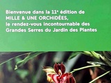 Exposition 1001 Orchidées aux Grandes Serres du Jardin des Plantes du 8 février au 24 mars 2024