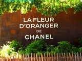 Immersion olfactive via les Jardins de la Fleur d'Oranger, Chanel aux Tuileries