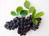 J'ai testé le Raisin Fraise (Vigne Isabelle)