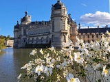 Jeu Concours : Comment tenter de Gagner vos Entrées Coupe File pour les Journées des Plantes de Chantilly