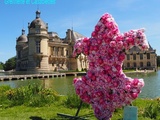 Mille et une Pépites Végétales aux Journées des Plantes de Chantilly, la suite