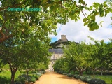 Plantes Plaisirs Passions, Magnifique Fête de Plantes du Château de la Roche Guyon