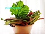 Rhubarbe, dense récap