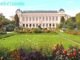 Savoir Faire et Secrets des Jardiniers du Muséum National d'Histoire Naturelle (Opus 1 Visite des jardins)