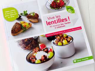 Vive les Lentilles ! 40 recettes bio, faciles et créatives
