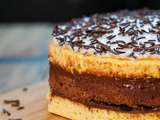 Gâteau Napolitain - la recette - Le célèbre gâteau à 3 couches - Grignotine