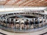 Coup de gueule contre la « ferme aux 1000 vaches »