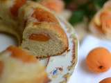 Gâteau aux abricots au sirop #sans lactose