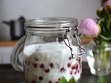 Koso de groseilles rouges - sirop de groseilles rouges #végétal