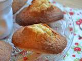 Madeleines rustiques