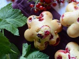 Petits gâteaux chocolat groseilles