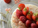 Porridge aux fruits rouges #végétarien