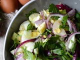 Salade d'oeufs, concombre, oignons rouges et persil