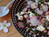 Salade de lentilles beluga, orge perlé, féta et radis
