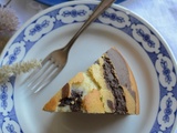 Torta marmorizzata cacao e vaniglia - gâteau marbré