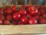 Ça sent la rentrée, alors il est temps de préparer l'hiver  : le coulis de tomates