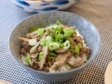 Bœuf et bardane mijotés au miso (gyûniku to gobô no misoni)
