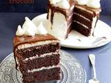 Layer cake vanille chocolat facile