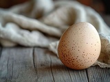Oeufs de volaille : ceux de la dinde boudée dans nos assiettes, mais pour quelles raisons