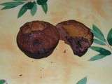 Muffin spéculoos et chocolat