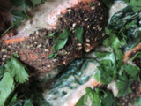Saumon rôti au zaatar et sauce au tahini et épinards d’Otoolenghi