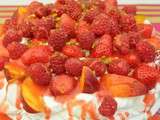 Pavlova aux fruits d'été et son coulis aux fraises