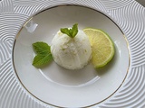 Sorbet mojito