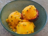 Sorbet passion