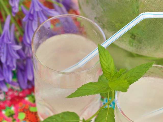 Recettes De Limonade De Jardin Des Gourmands